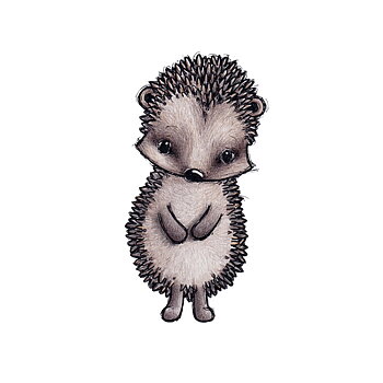 Iggy the Hedgehog