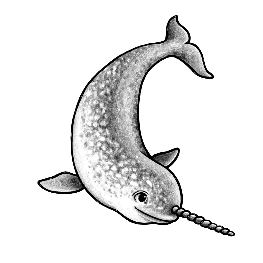 Nell der Einhornwal