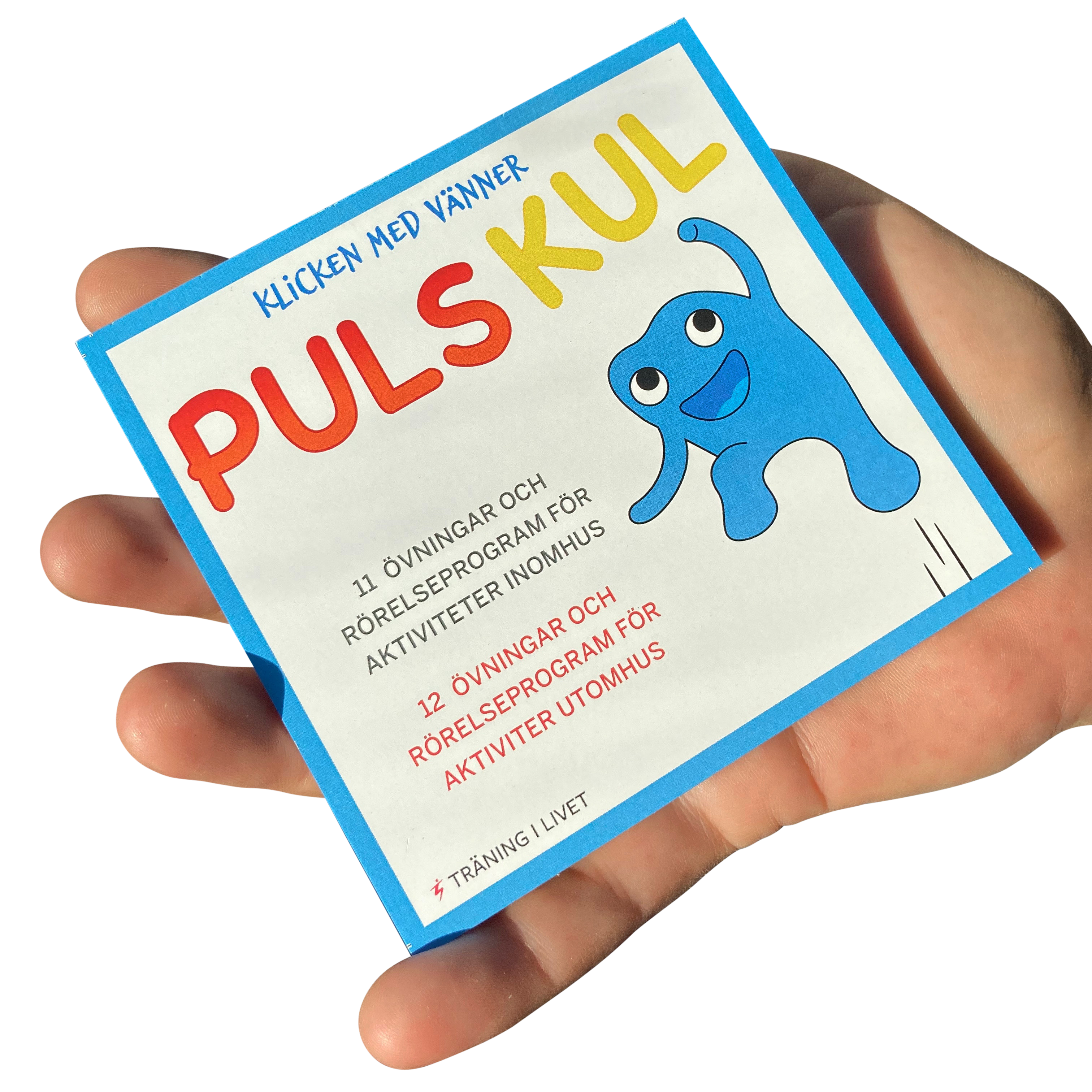 Pulskul