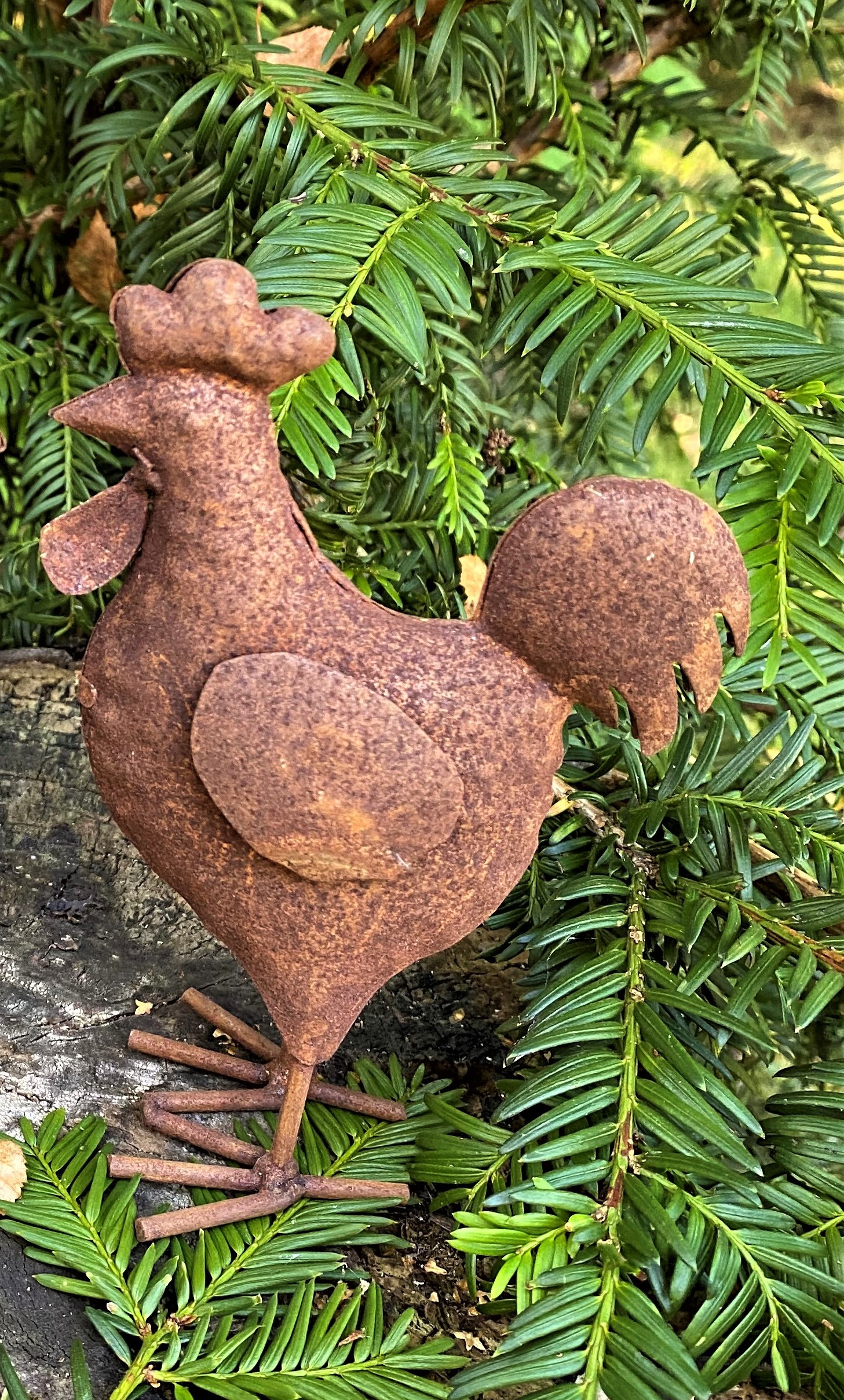 Tupp Rostig - 15 cm
