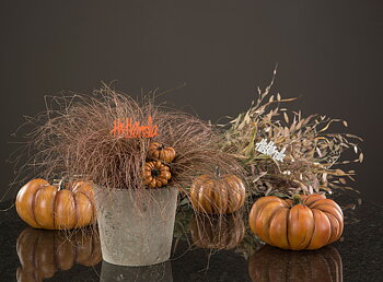 Pumpa Orange - 12,5 cm