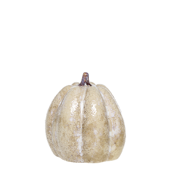 Pumpa Latte - 14,5 cm