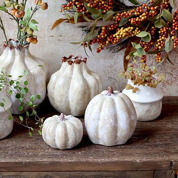 Pumpa Latte - 14,5 cm