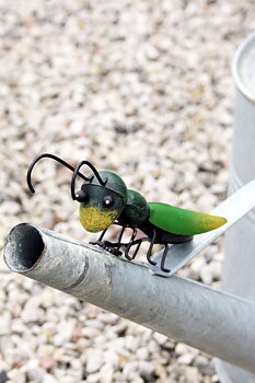 Gräshoppa Magnet - 18 cm 