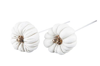 Pumpa /Stick vit - 2-pack