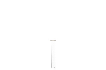 Glasrör med kant/provrör - 10 cm