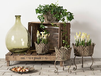 Kruka Blad Grön - Small