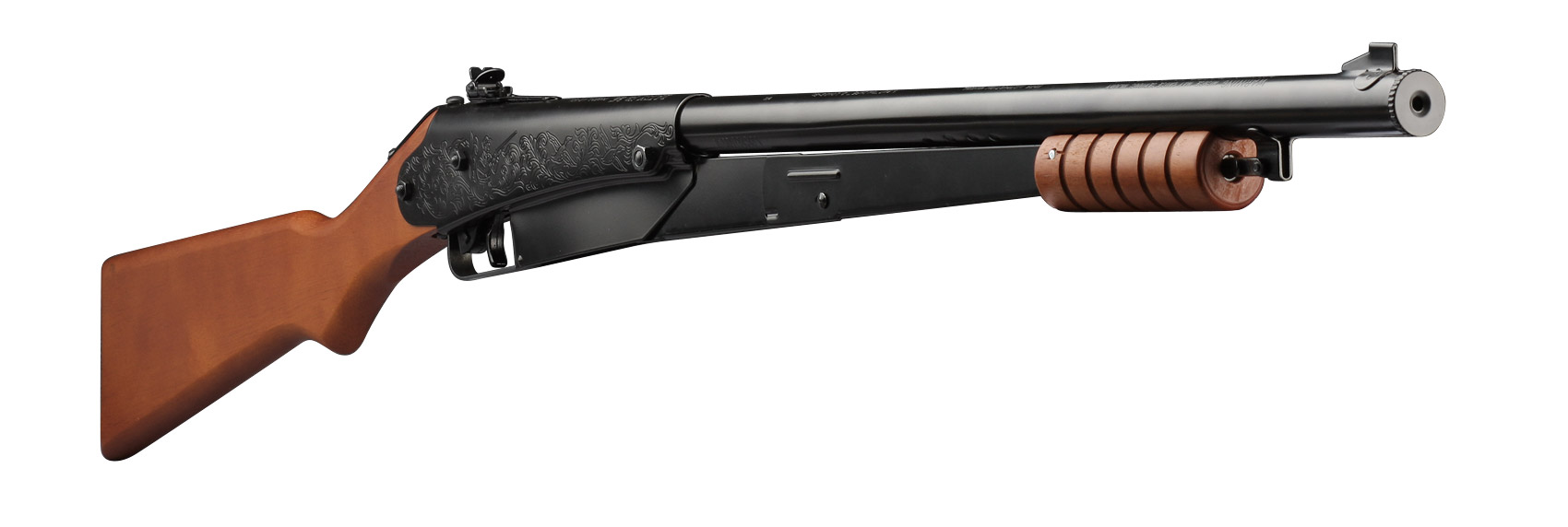 Daisy Model 25