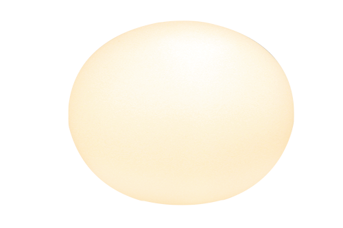 Globus 24cm