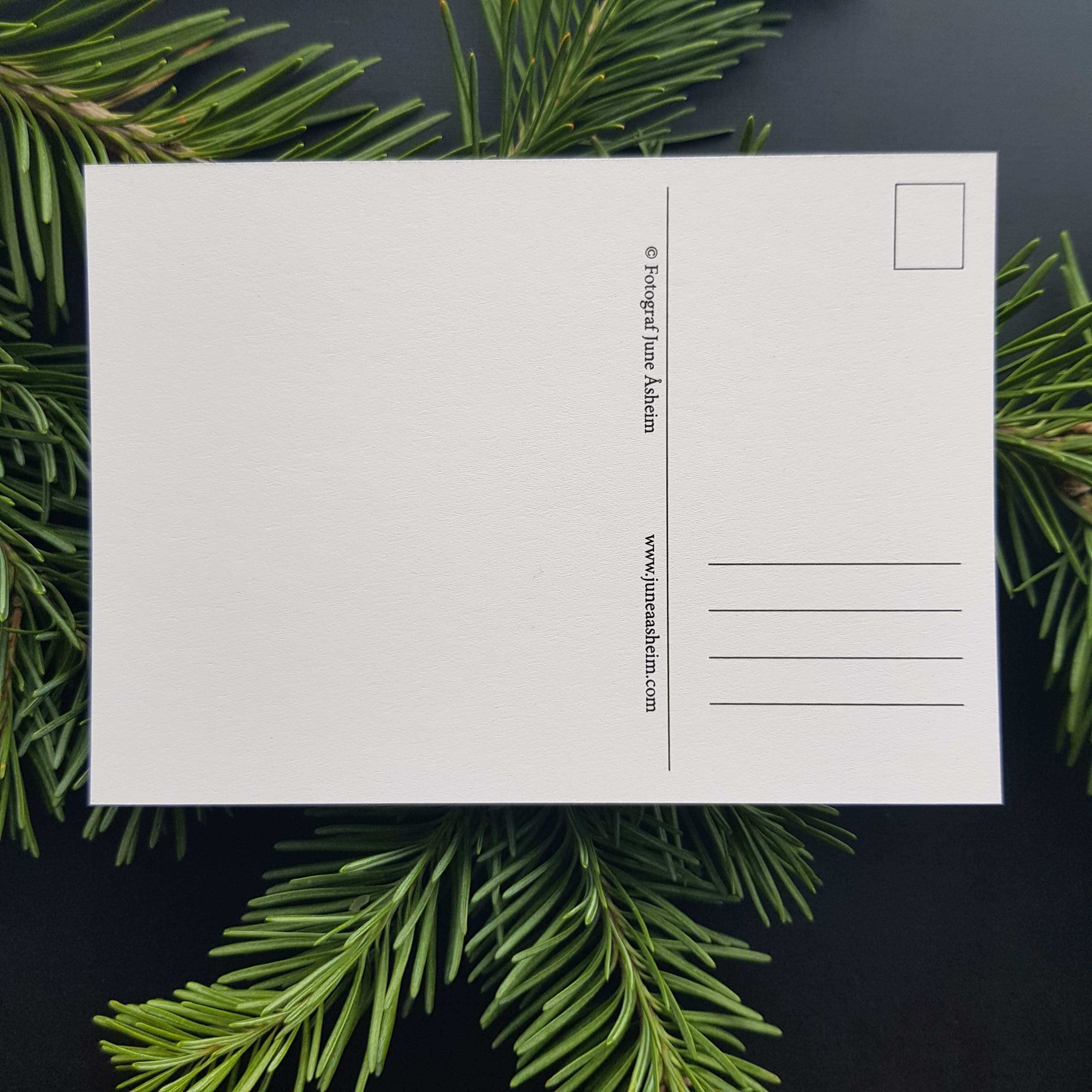 Postkortpakke - Dyr og natur - 7