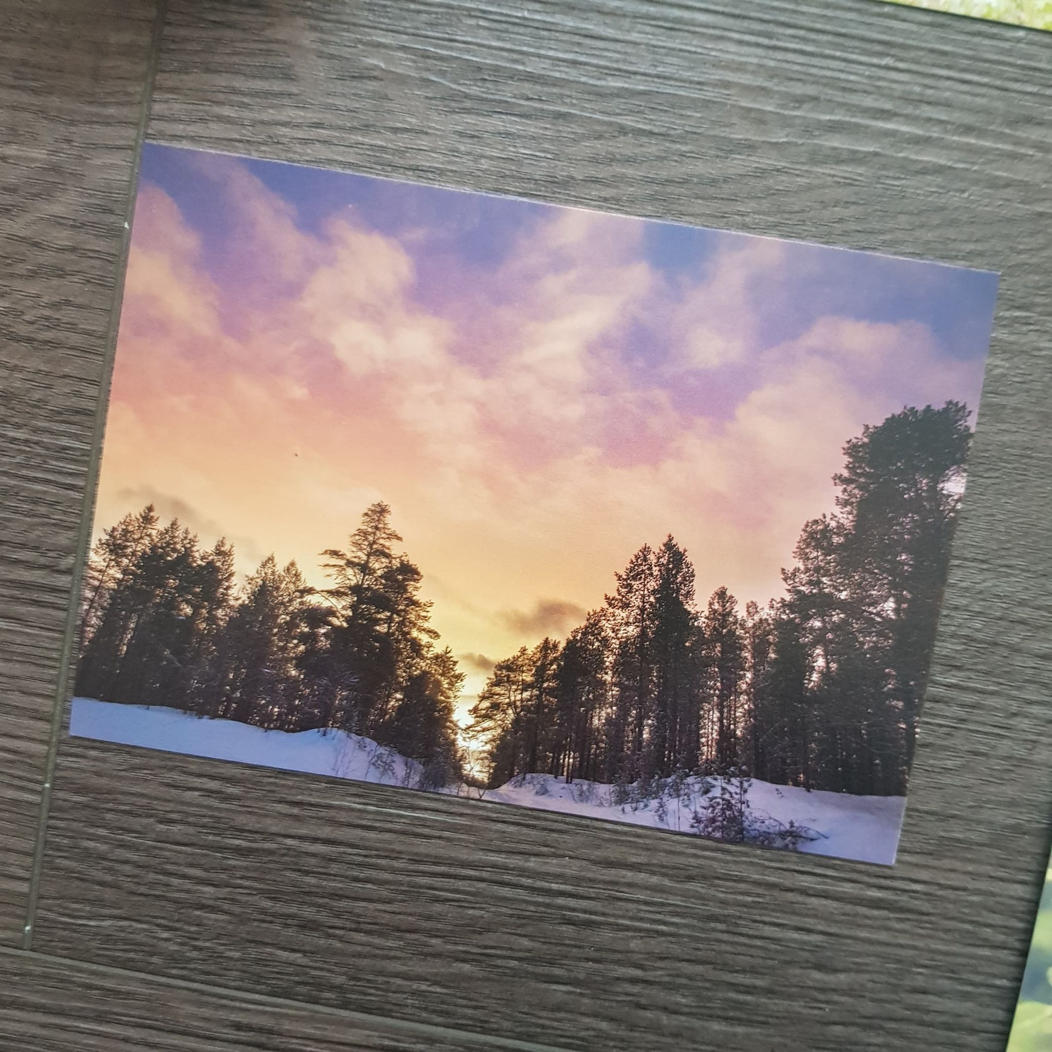 Postkortpakke - Dyr og natur - 5