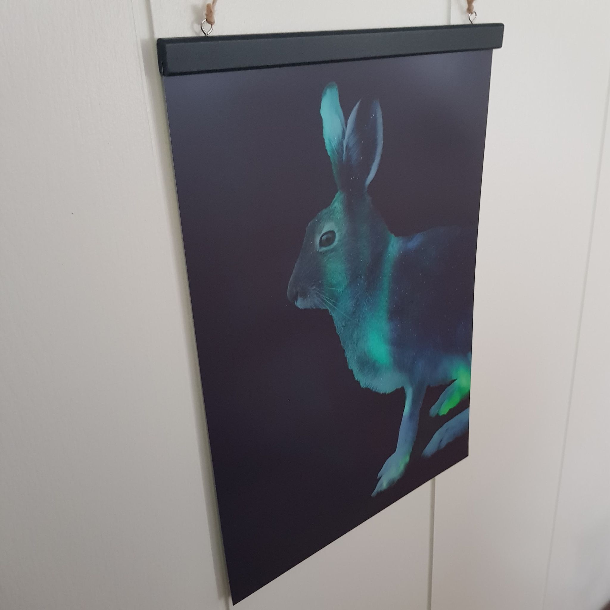 Nordlysserie - Hare