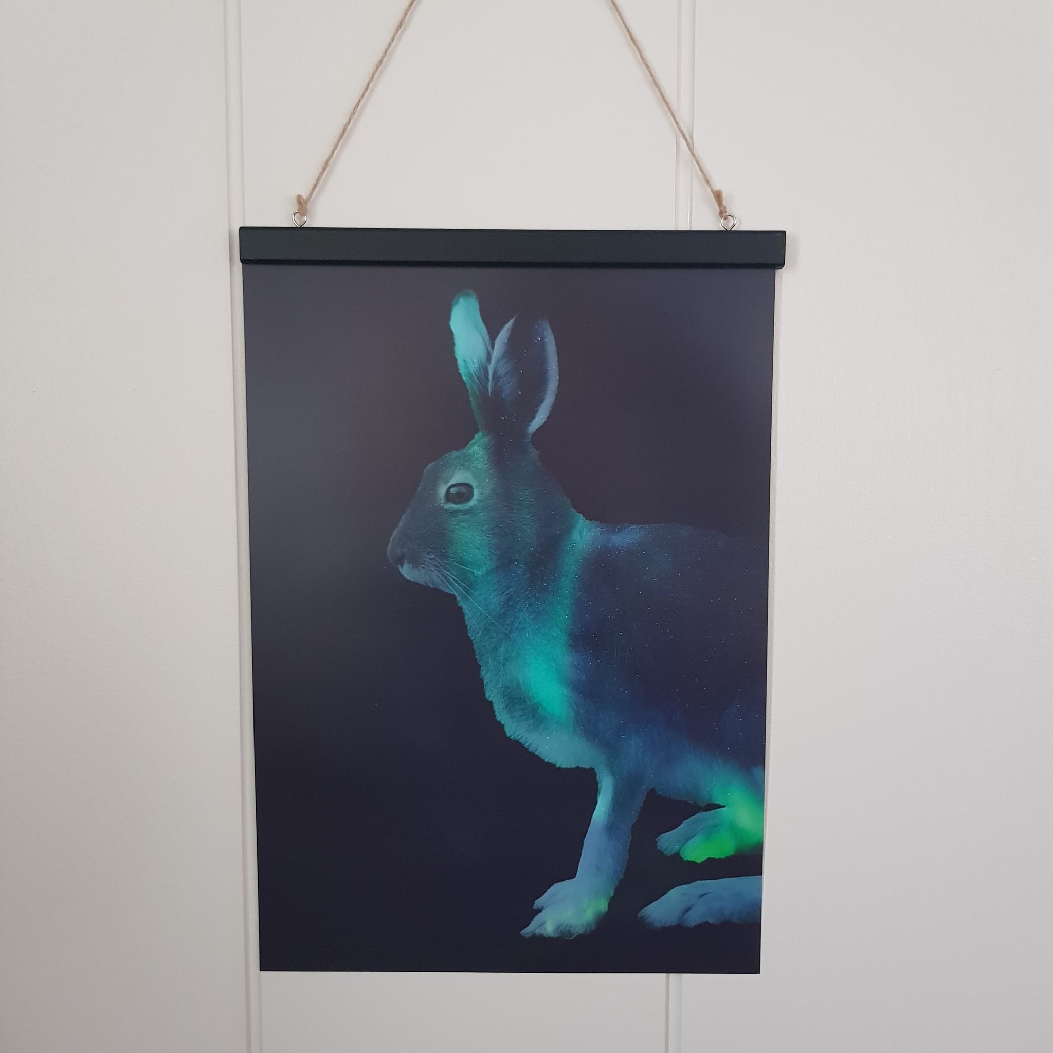 Nordlysserie - Hare