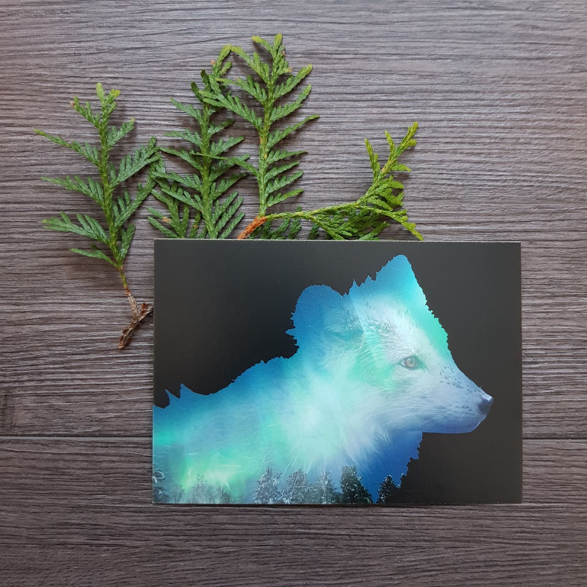 Postkortpakke - Nordlys og dyr