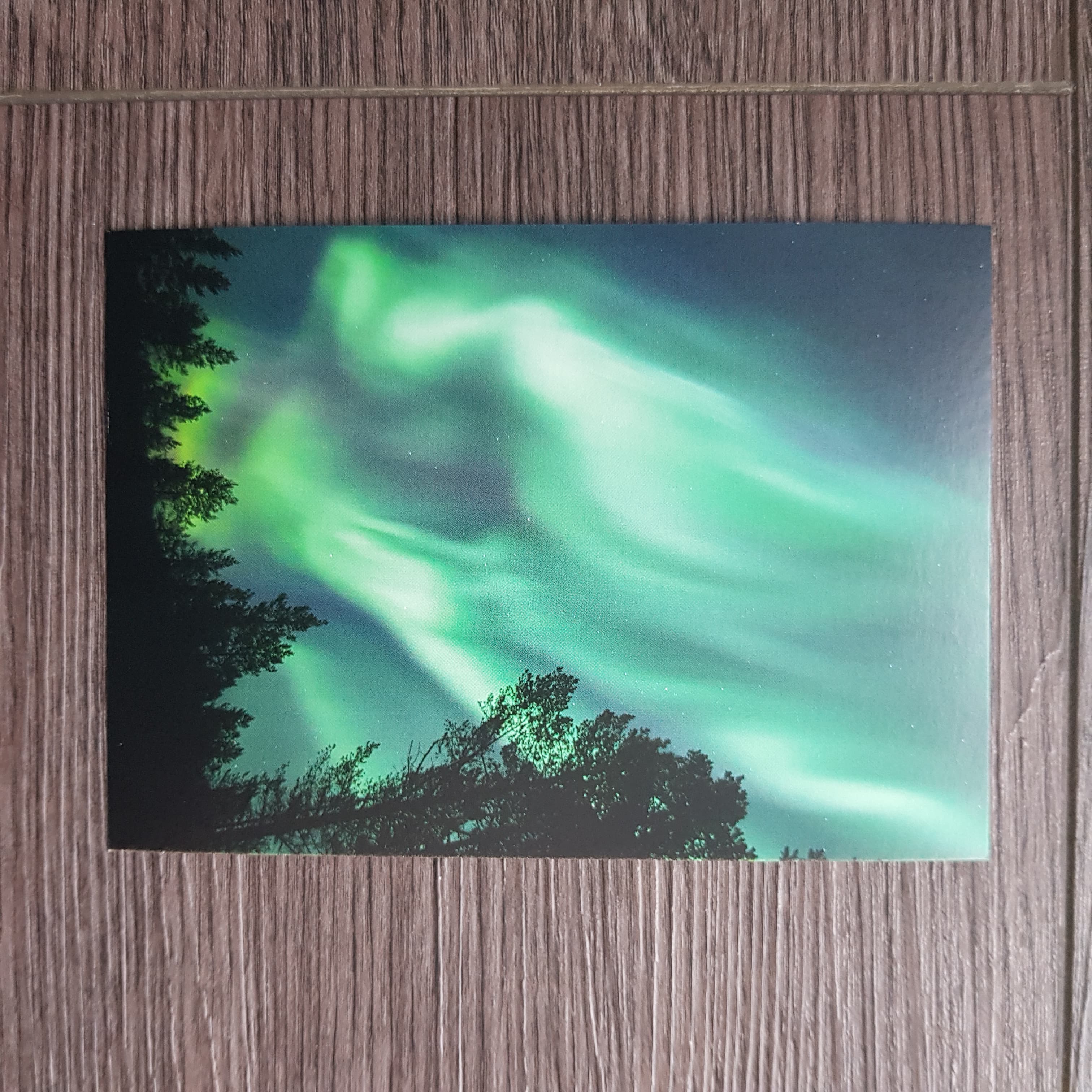 Nordlys XII