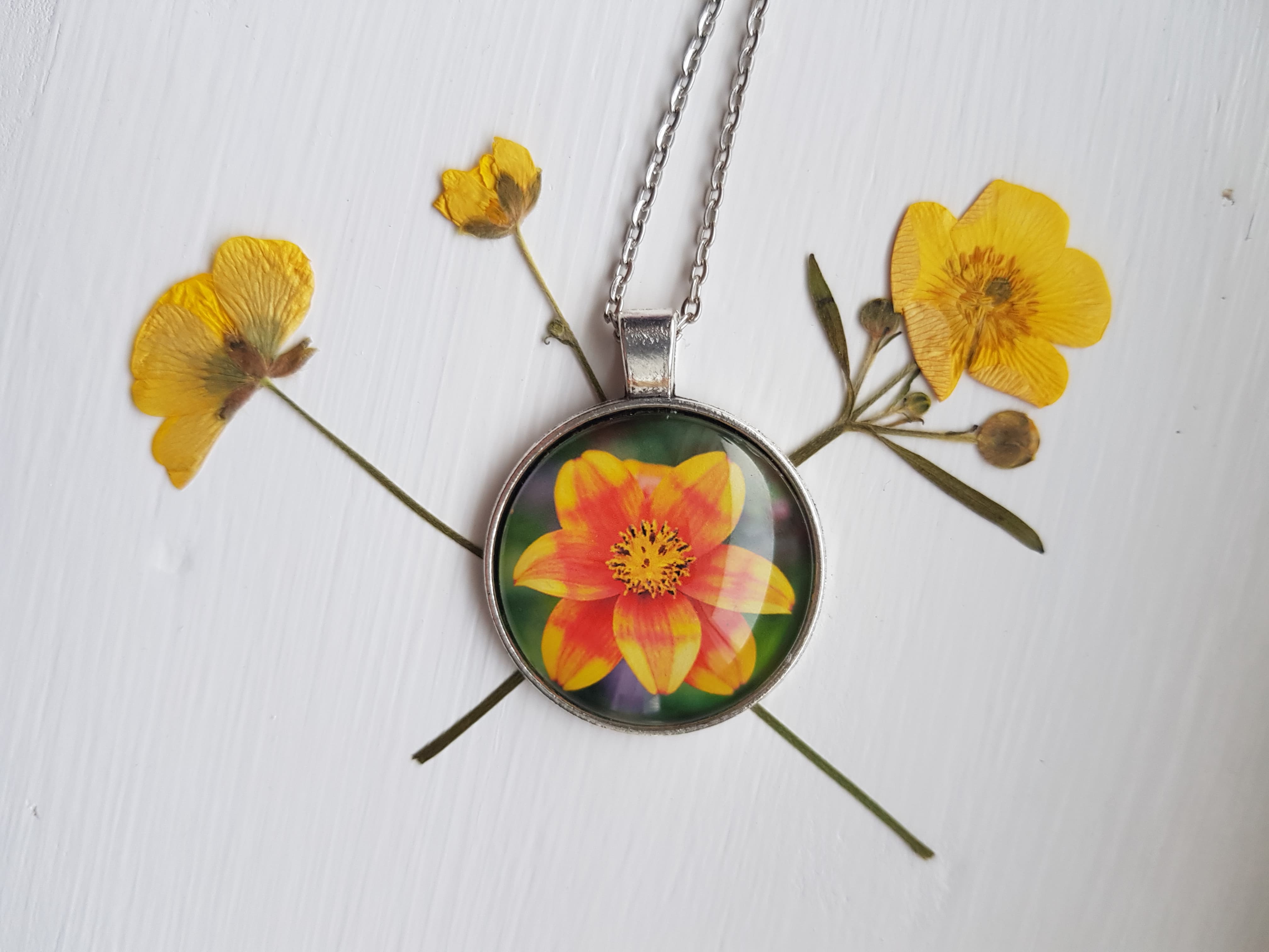 Bidens