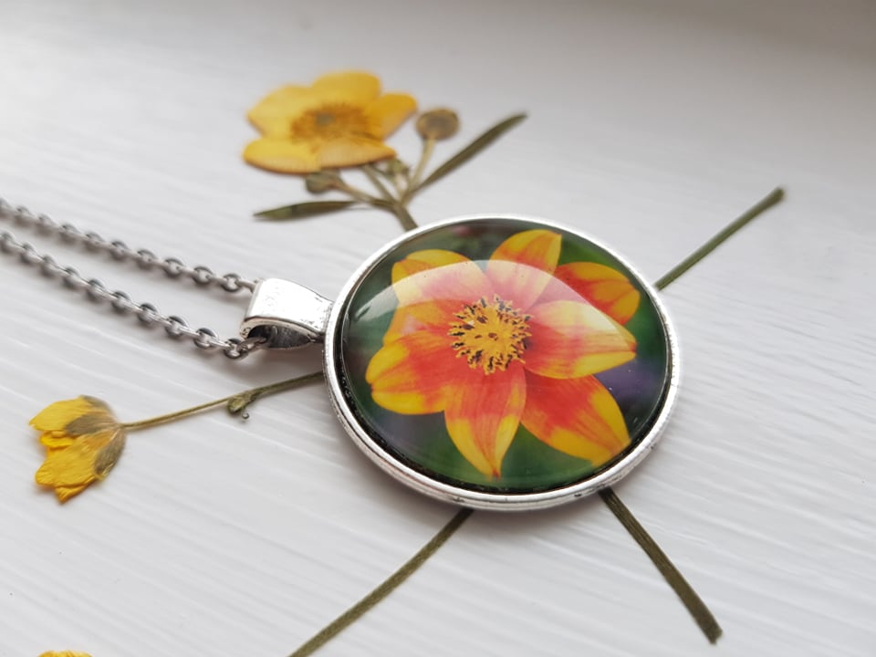 Bidens