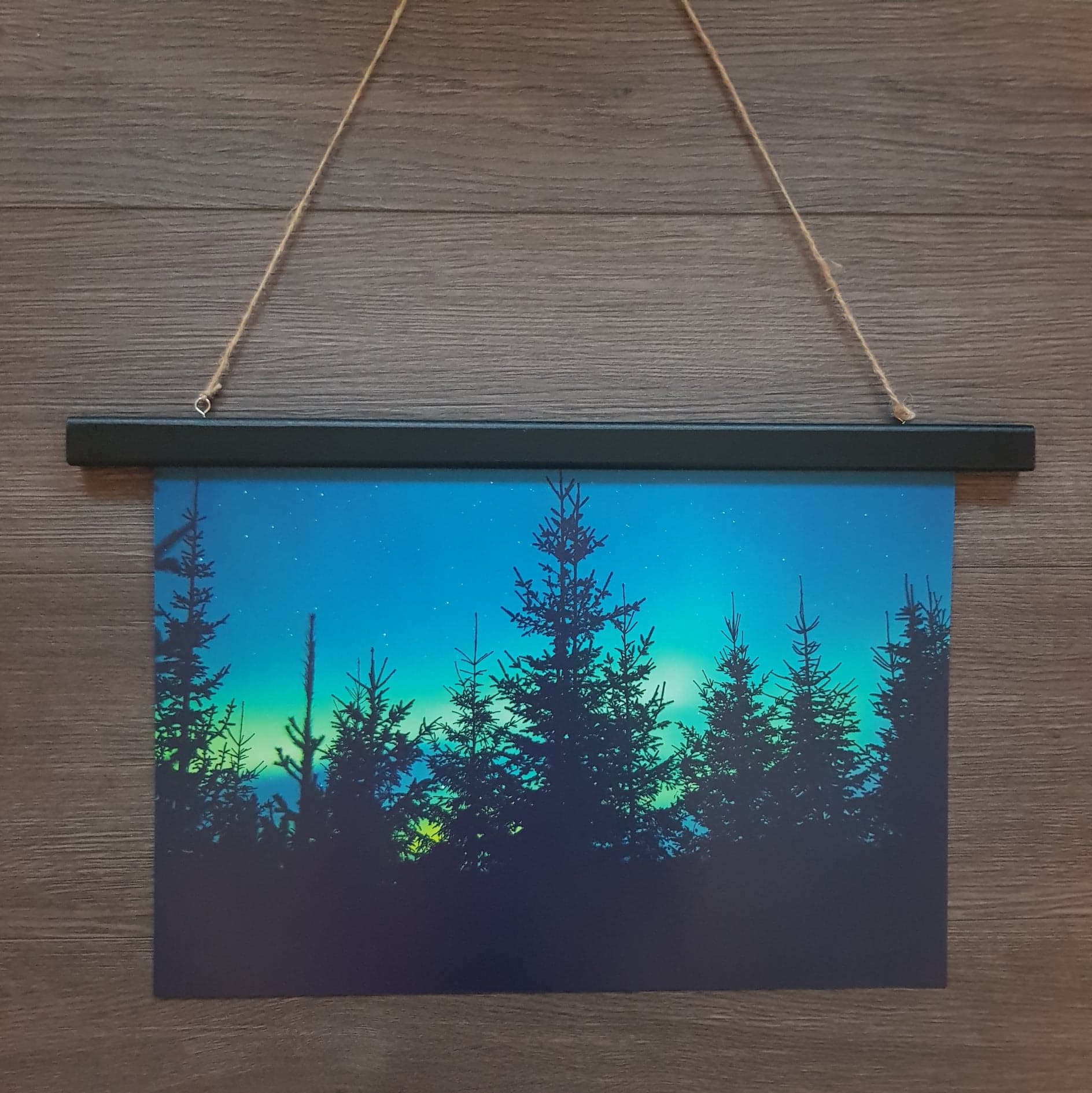 Nordlys - Granskog
