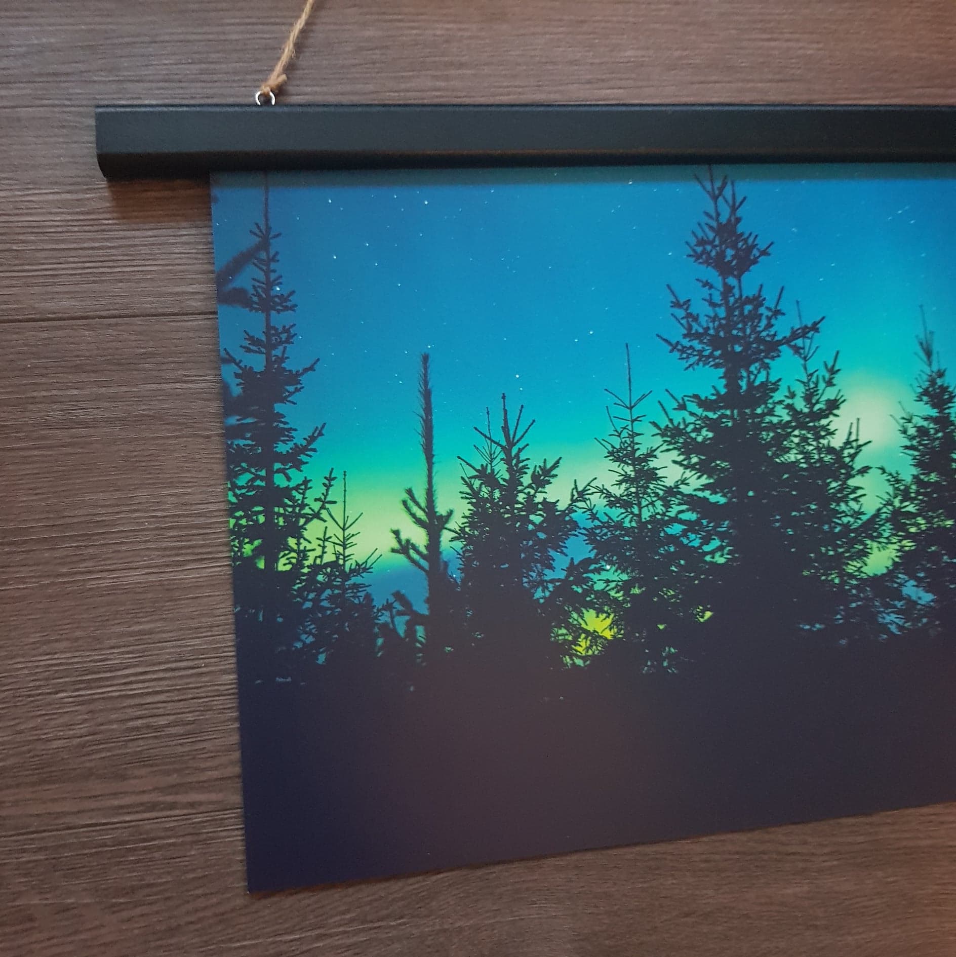 Nordlys - Granskog