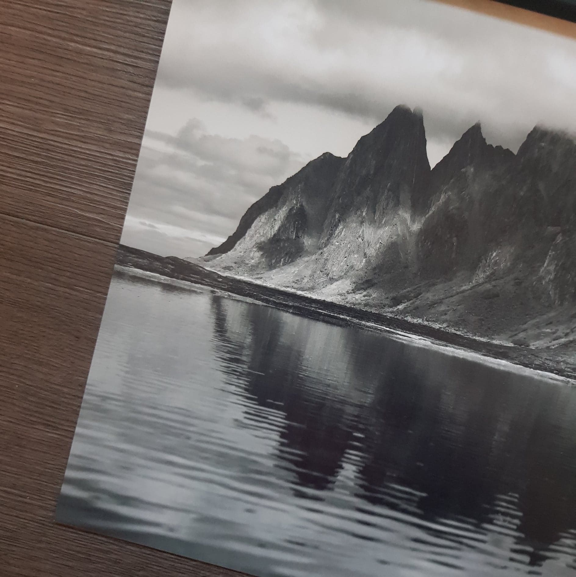 Okshornan på Senja