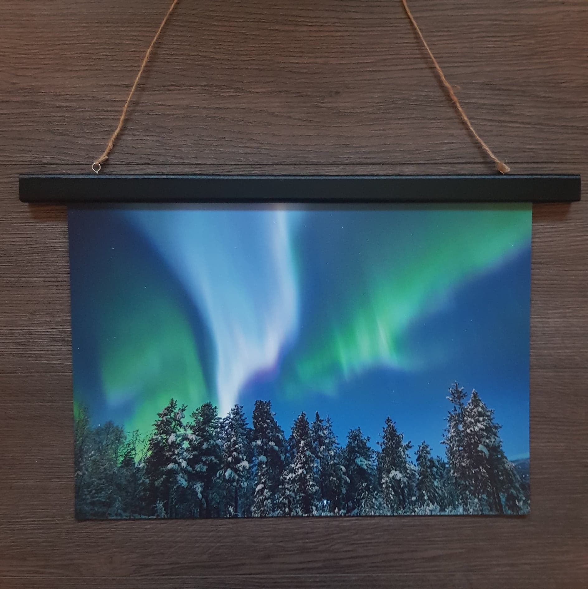 Nordlys - Skog