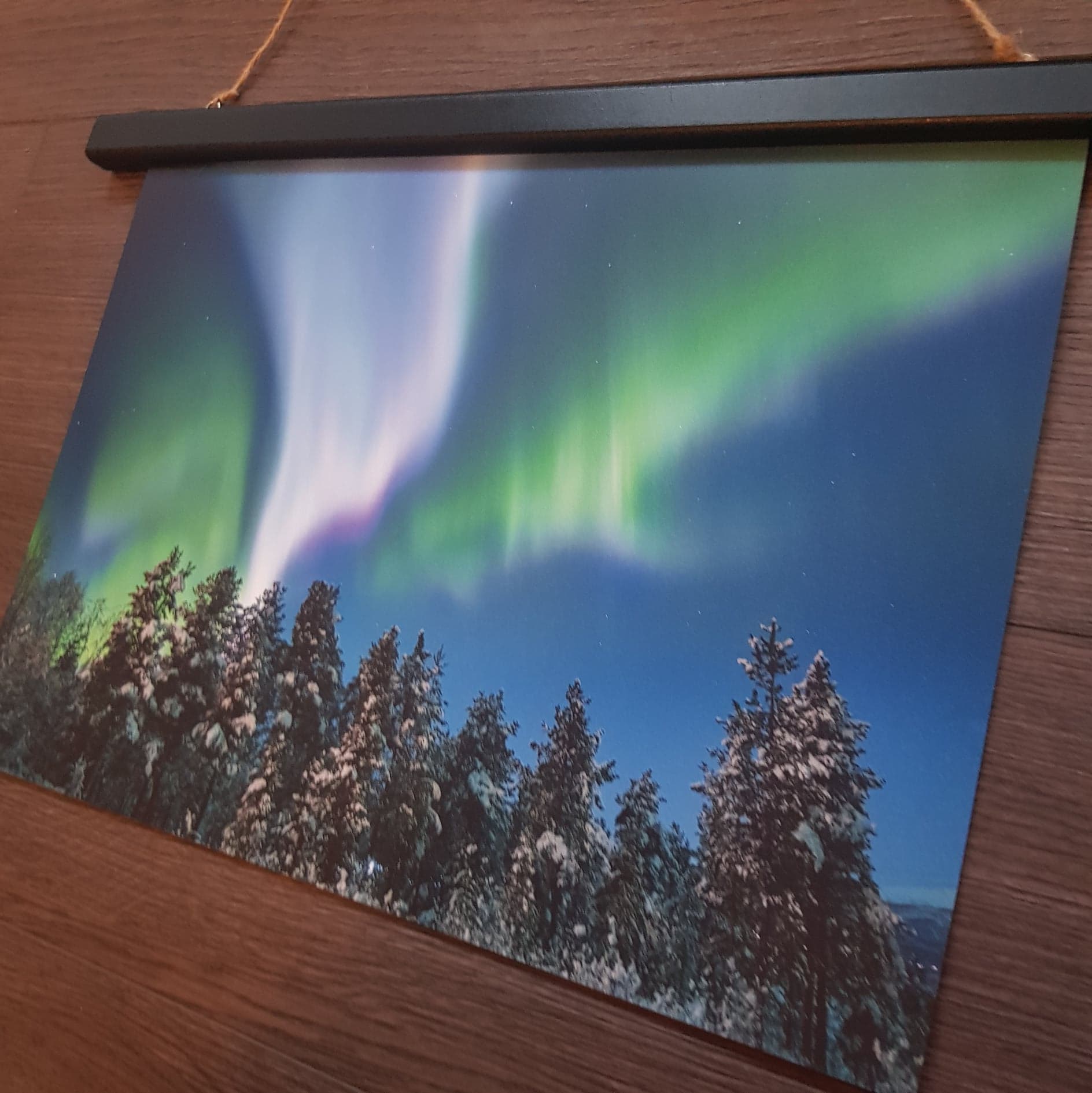 Nordlys - Skog - 3