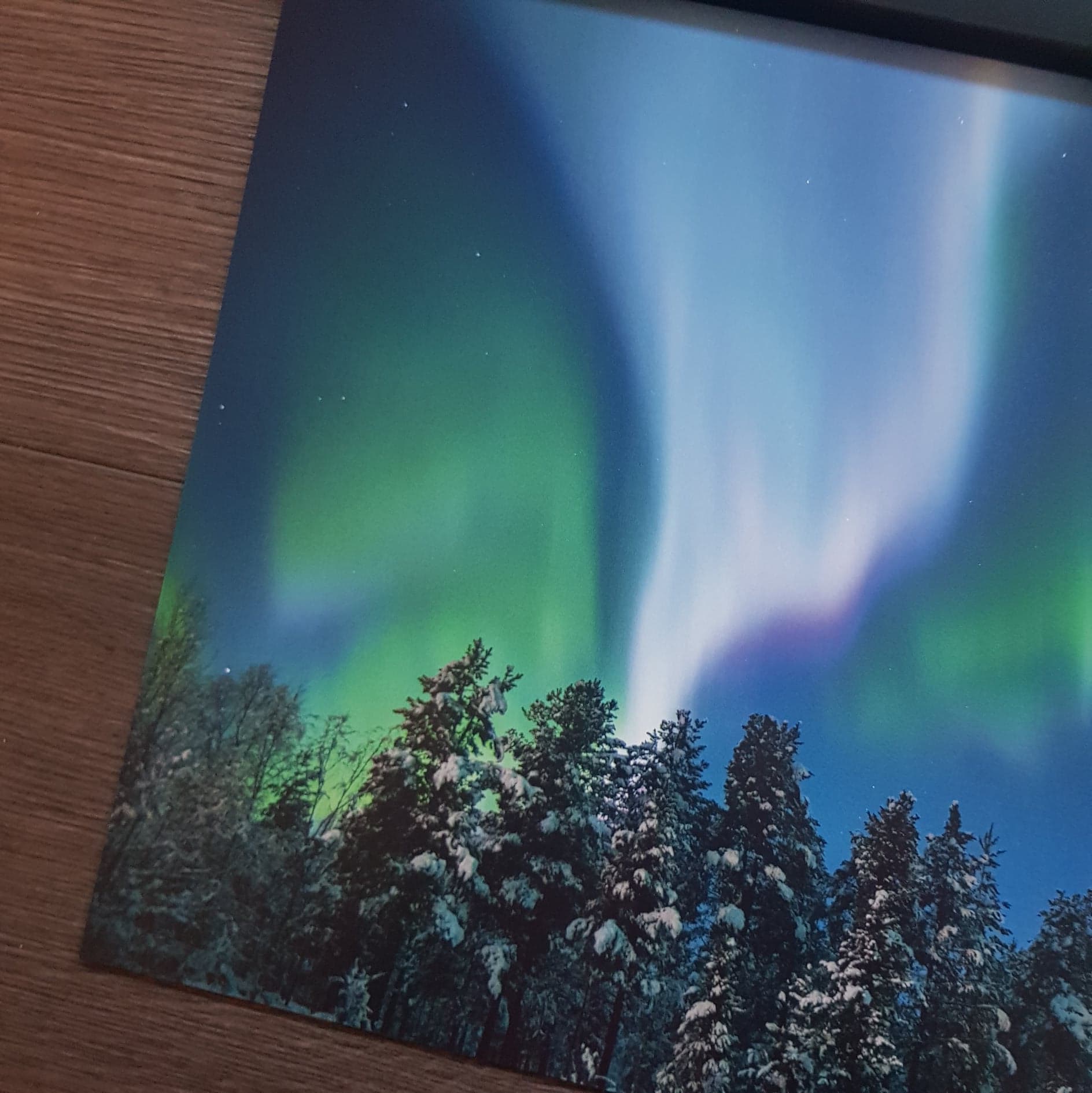 Nordlys - Skog