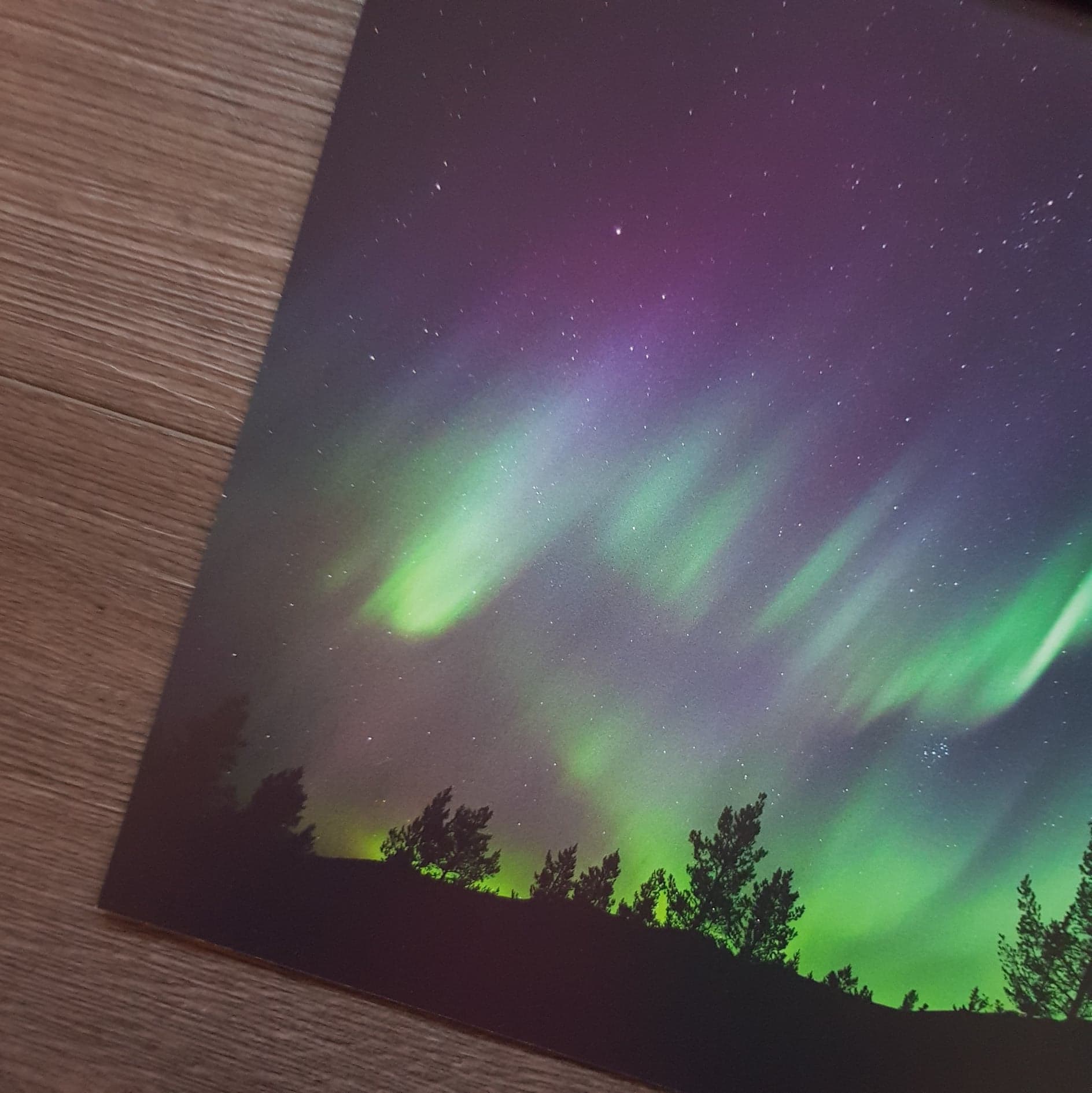 Nordlys - Silhuett av skog - 3