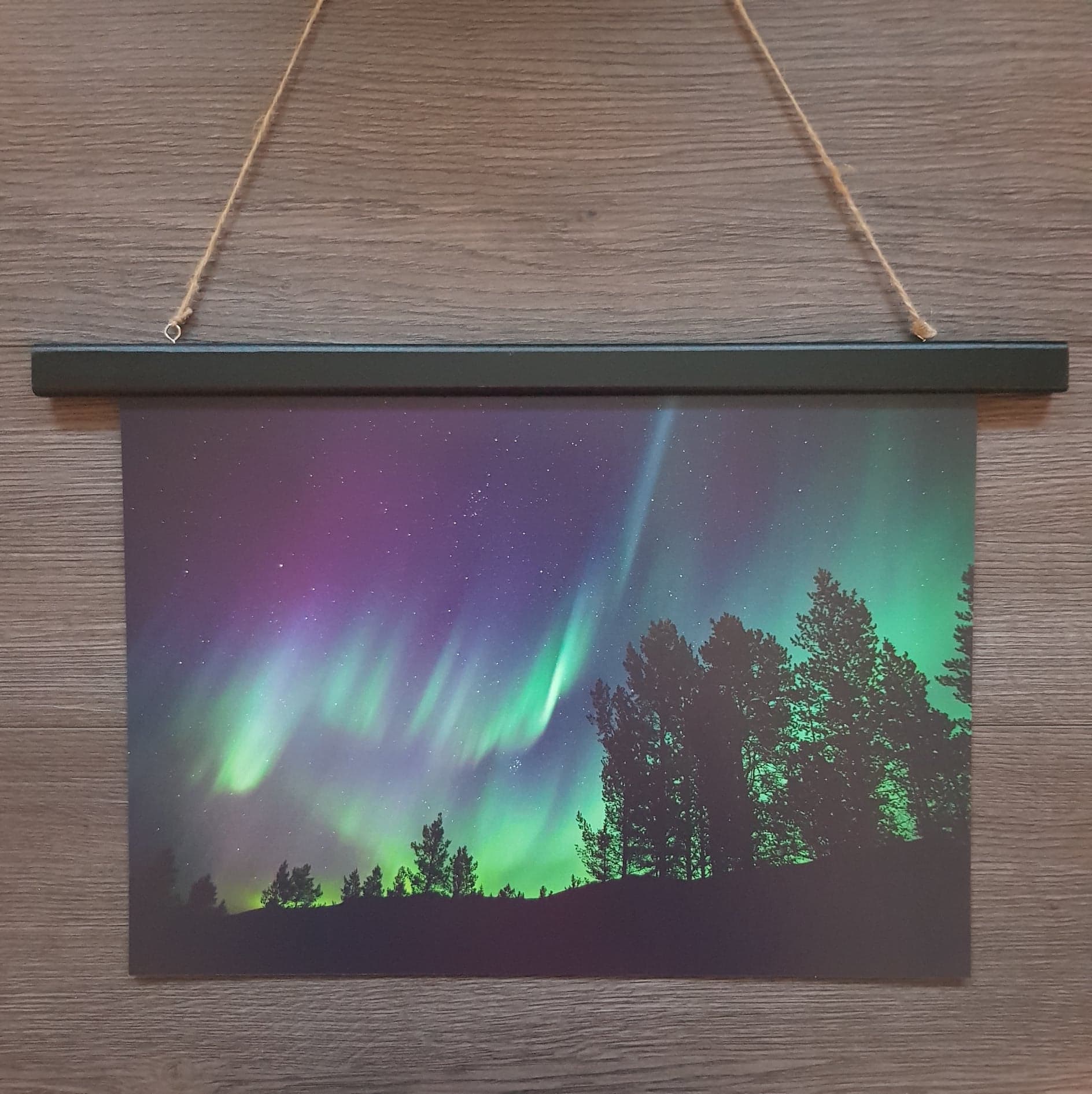 Nordlys - Silhuett av skog