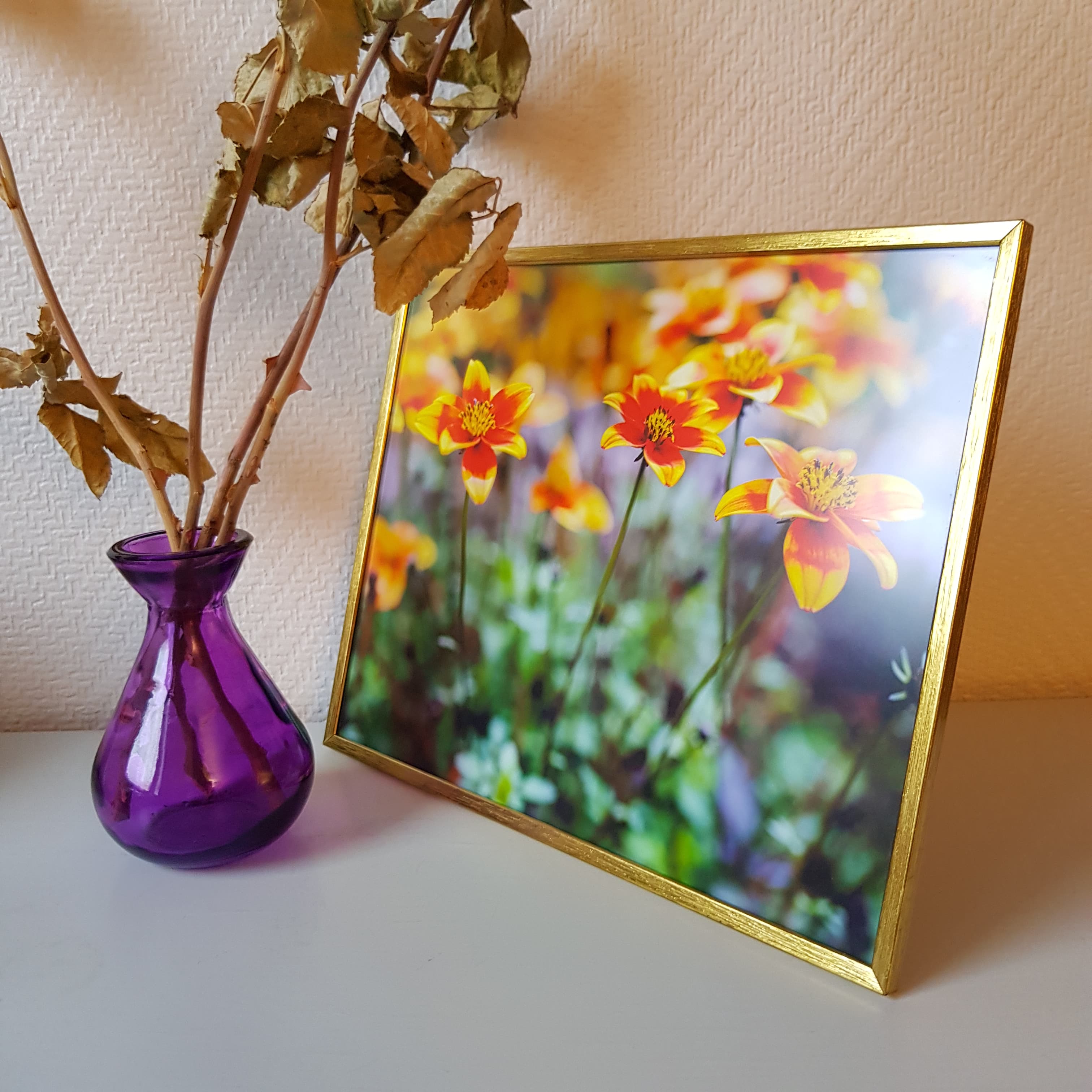 Bidens - 3