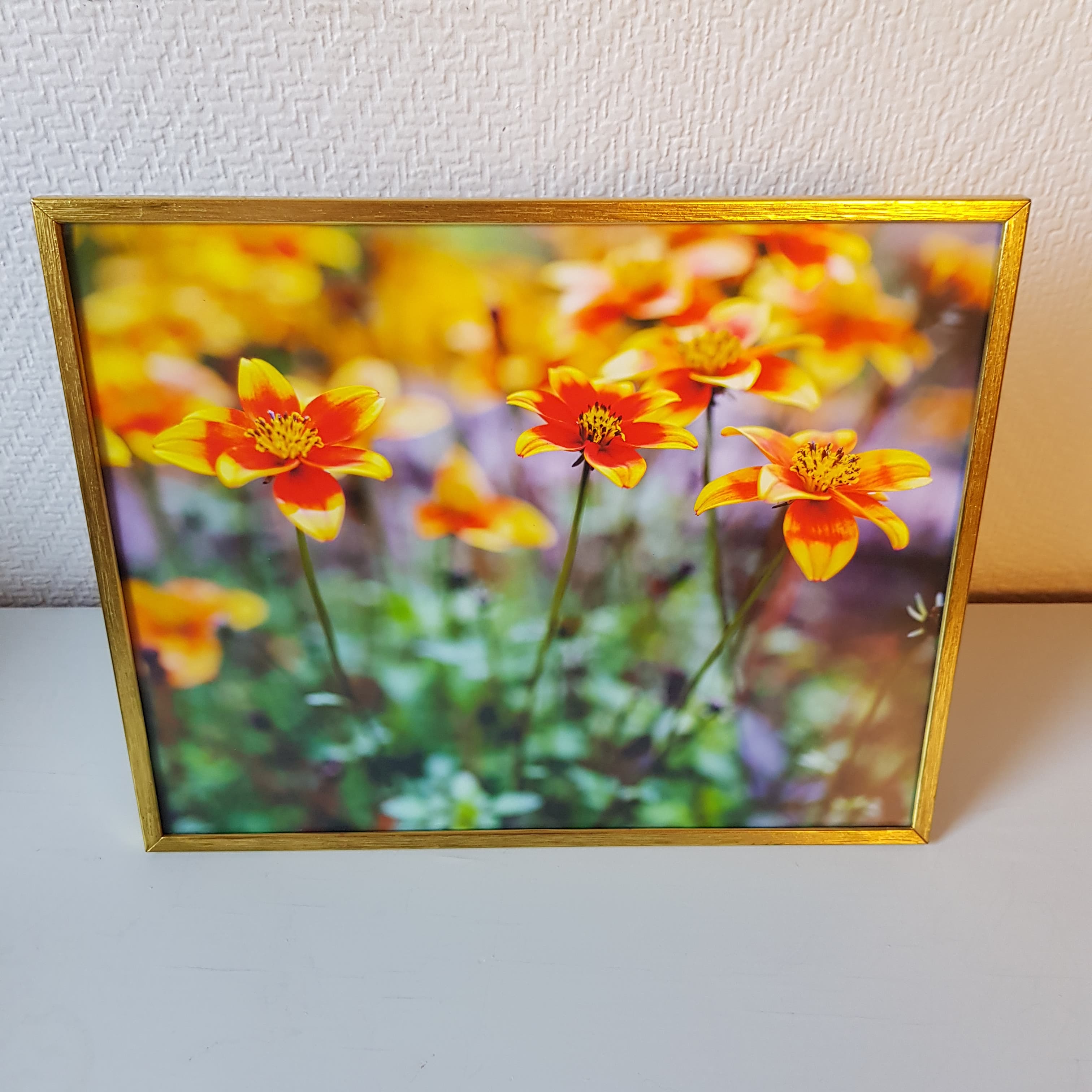 Bidens