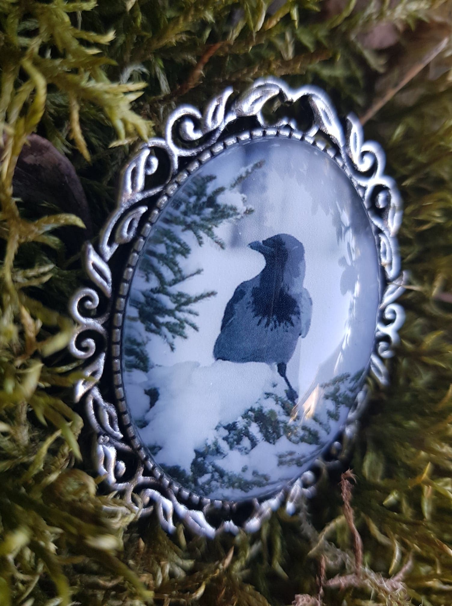 Kråke - 3