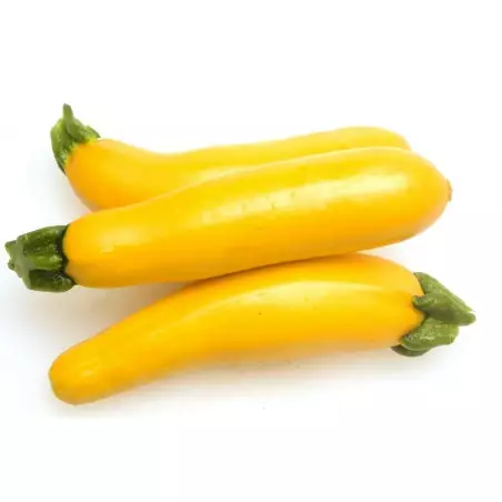 Lisselstugans Gul Zucchini 1 kg