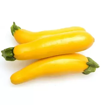 Lisselstugans Gul Zucchini 1 kg