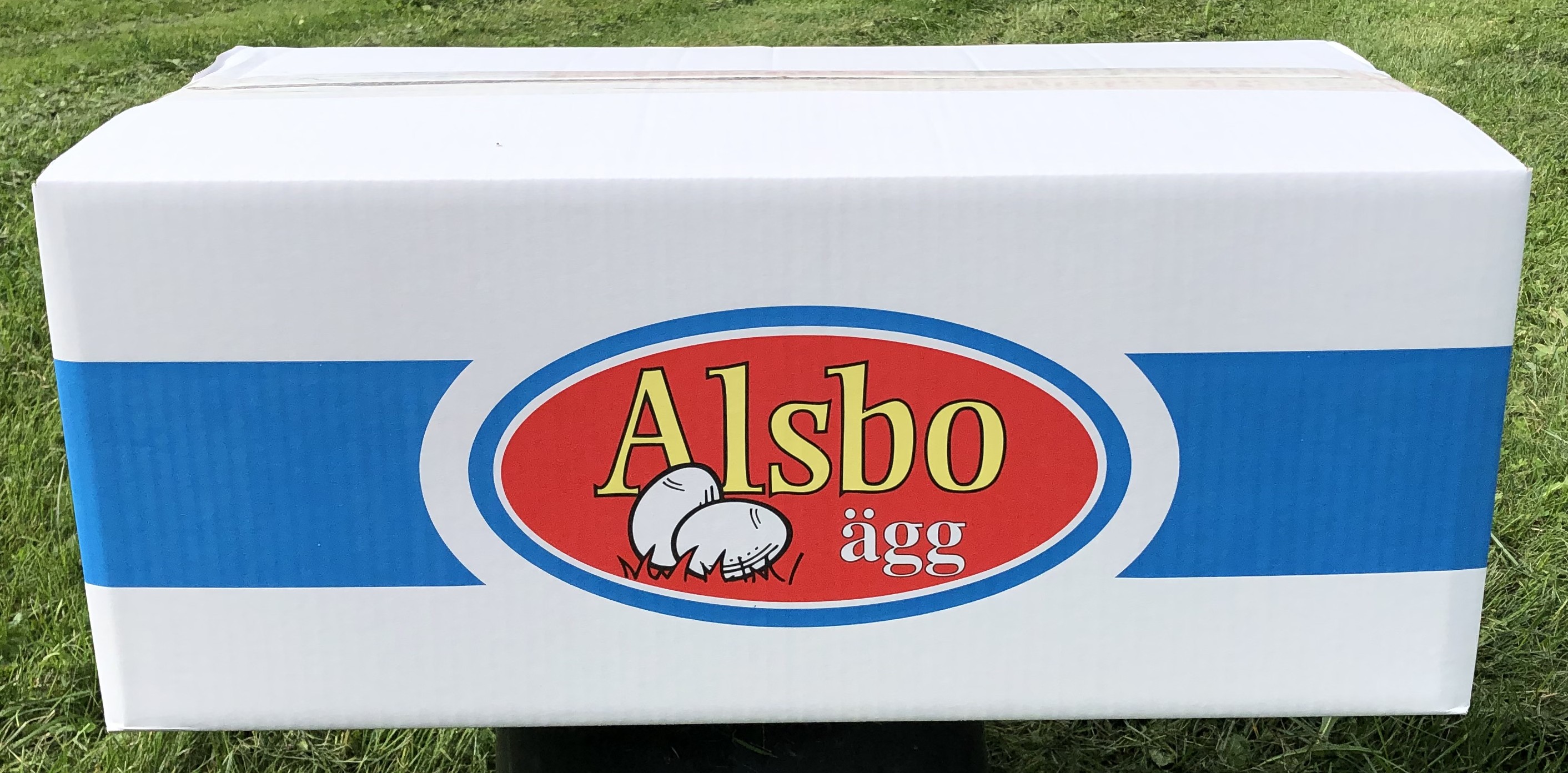 Alsbo Ägg, Medium, kartong med 240 ägg