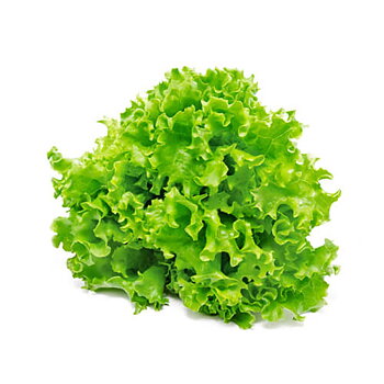 Wålstedts Sallad, Lollo bionda KRAV  (jmf-pris/styck)