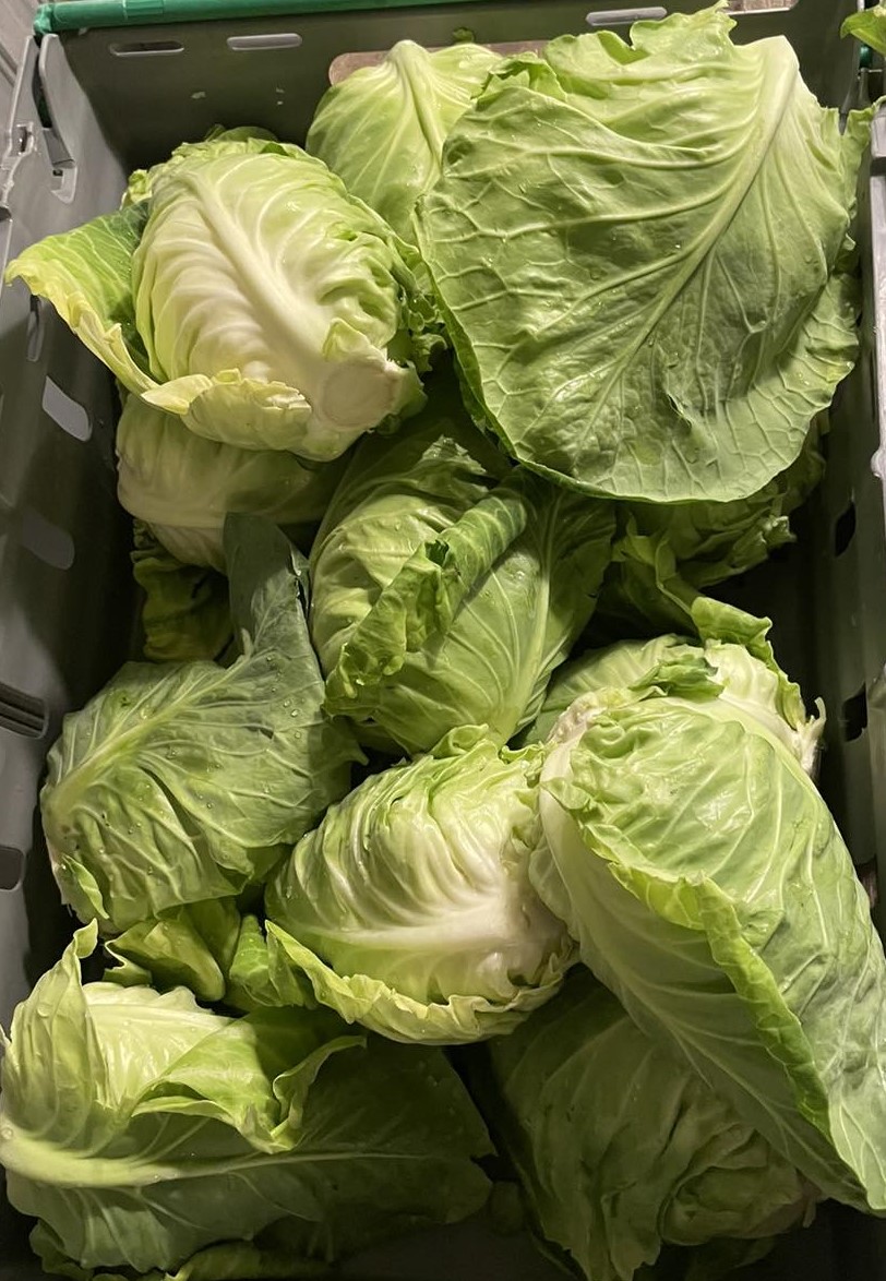 Wålstedts, Spetskål 1 kg