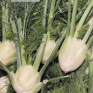 Wålstedts Fänkål KRAV 1 kg
