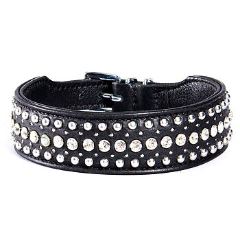 Halsband med stenar och nitar
