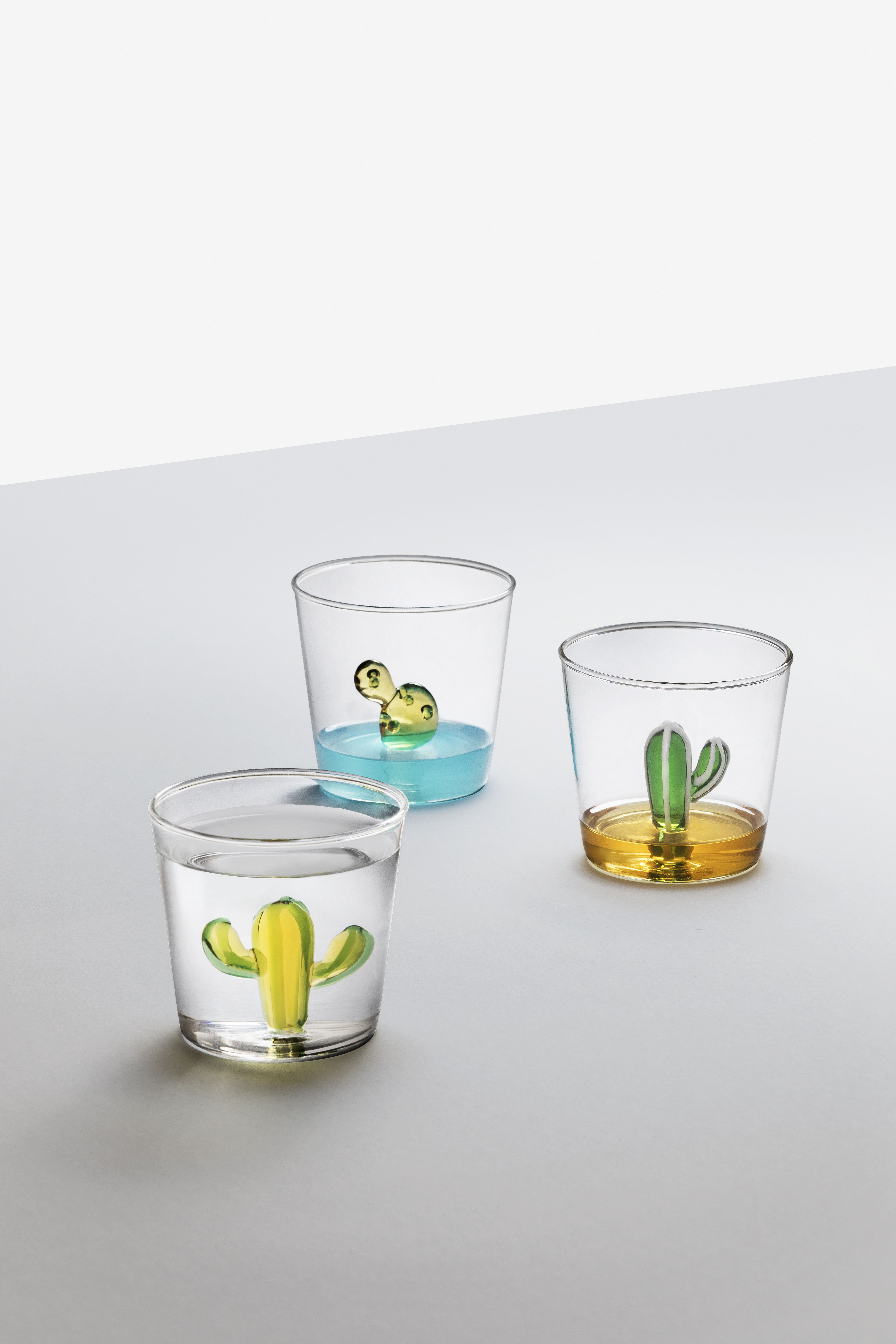 Glas - DESERT PLANT