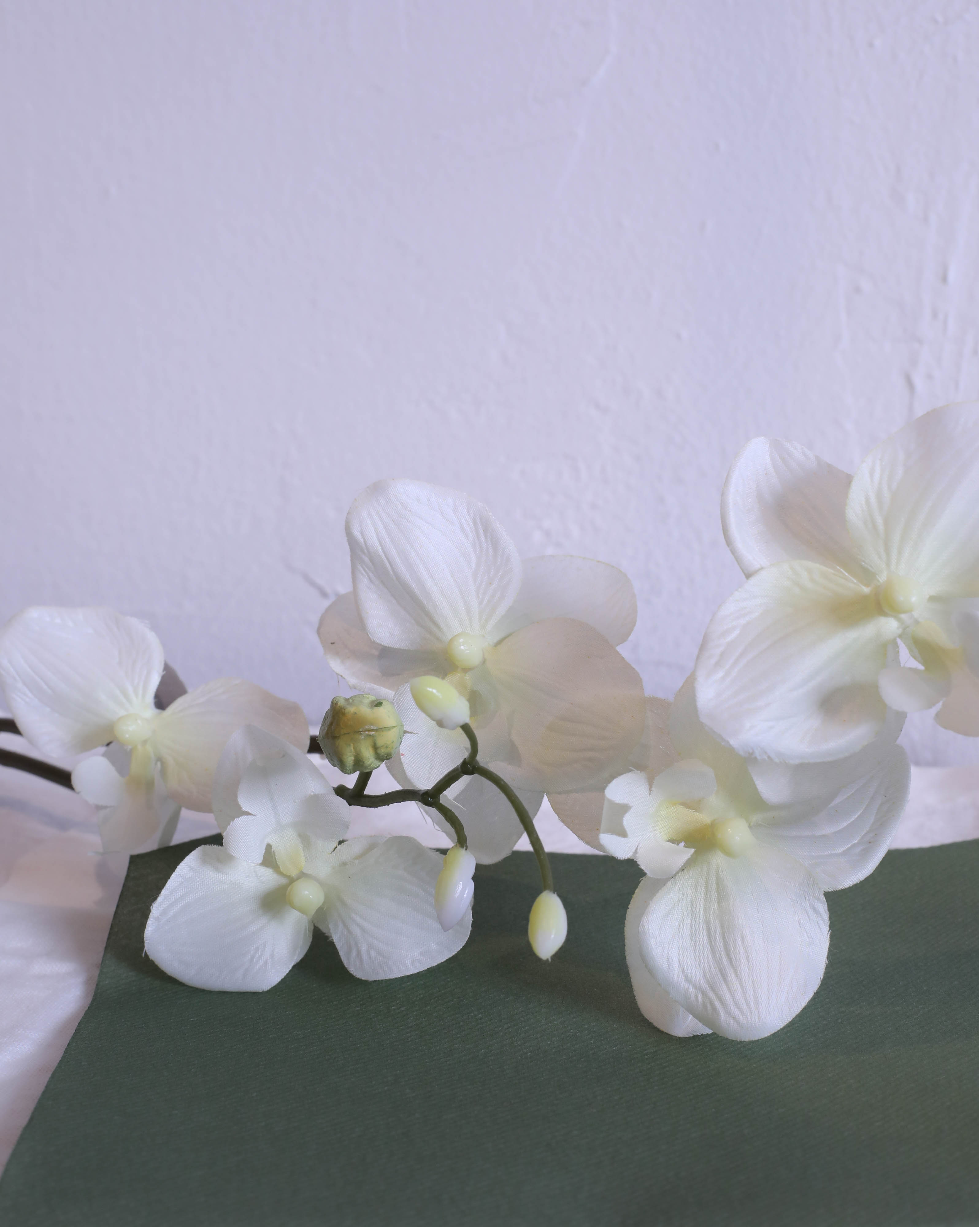 Evighetsblomma - ORKIDÉKVIST