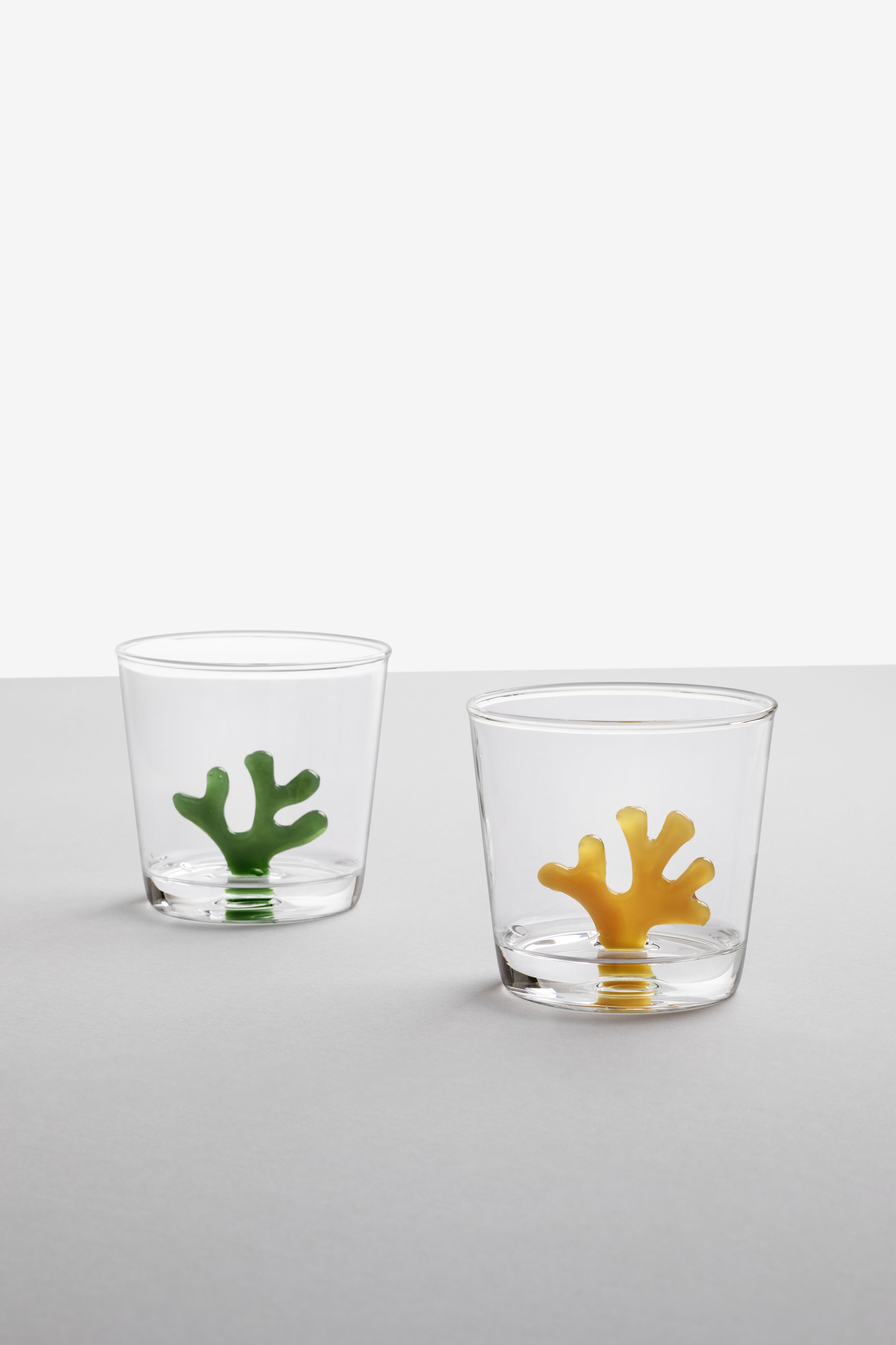 Glas - CORAL REEF