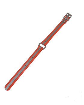 Barq Spårhalsband Orange 25X2,5X500mm