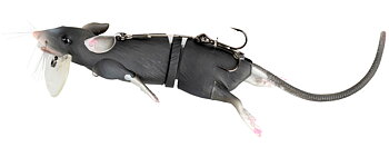 SG 3D RAD 30cm Gray