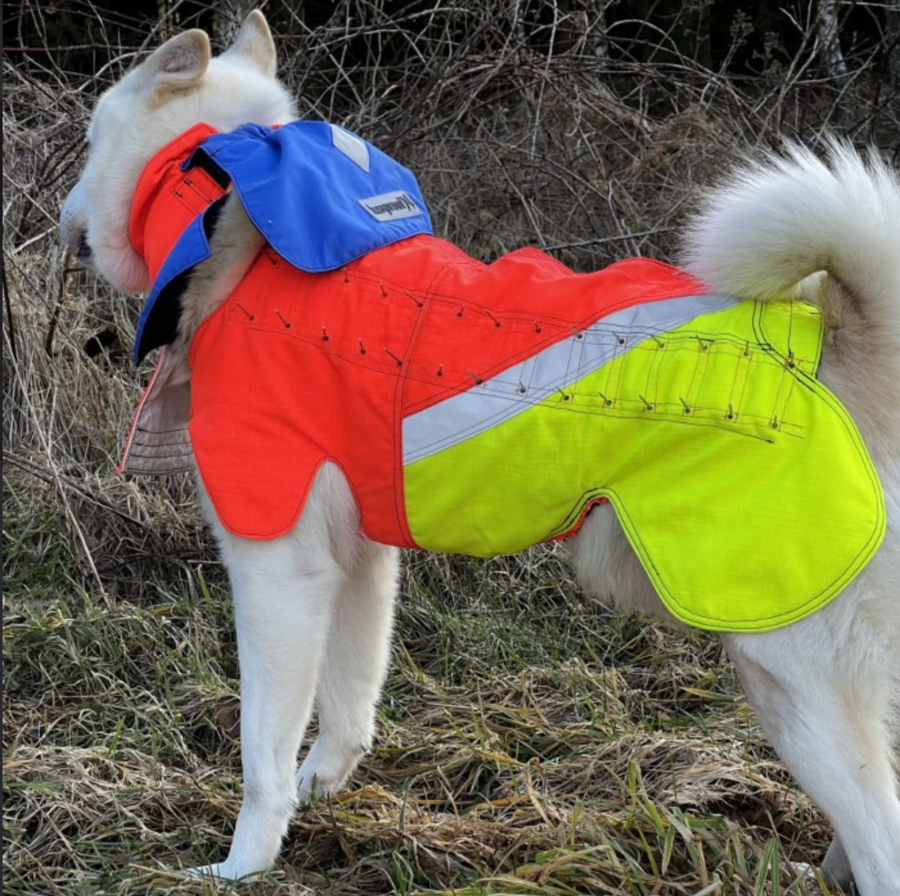 Tuskproof Skyddsväst för hund mot varg - 2