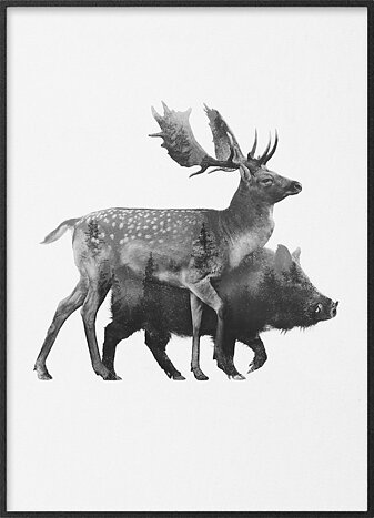 Fallow deer and wildboar