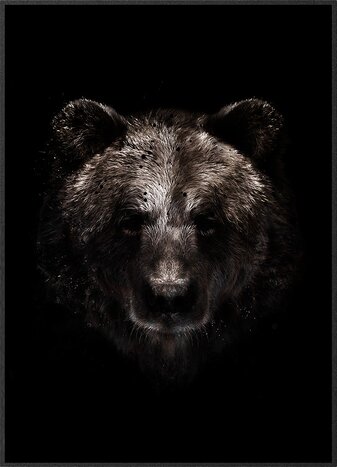 Brun bjørn i mørket