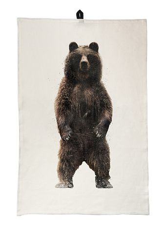 Curious brown bear - Kitchen towel 45x65 cm