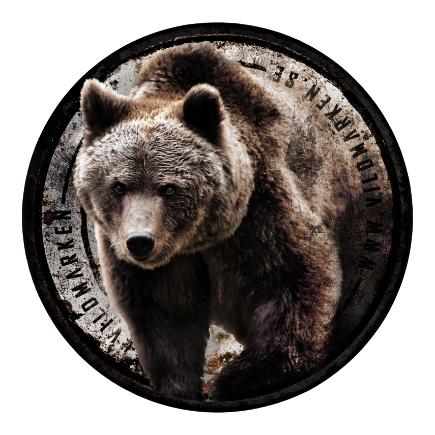 Brown bear sticker - VILDMARKEN® Brand Store