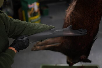 Game Master® Essentials Nitrilhandsker 100-pak